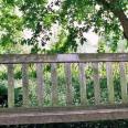 Close-up of Lyra and Will's bench