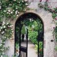 Gate through which Lyra and Will enter