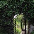 Gate through which Lyra and Will enter
